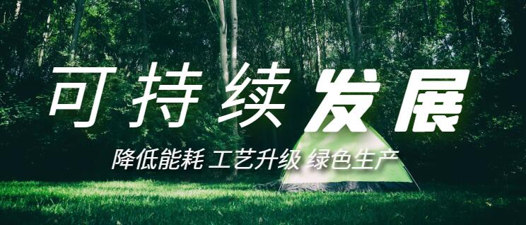 電熱鍋可持續發展 電熱鍋可持續發展
